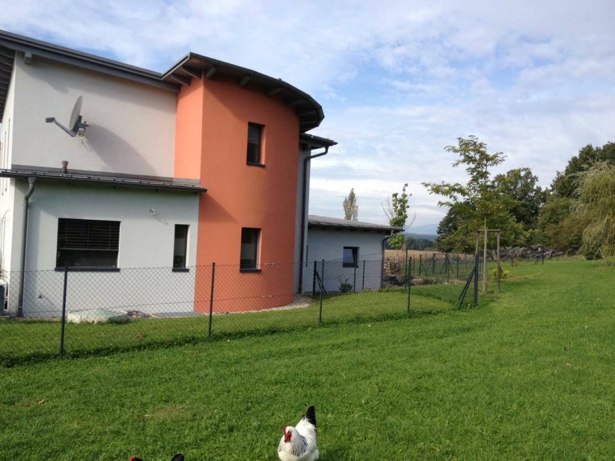 Haus Luna - Privatzimmer Im Sonnigen Suedburgenland Hackerberg エクステリア 写真